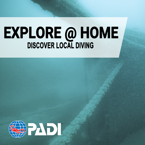 Discover Local Diving